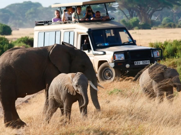 Best tours and travel companies in Kenya