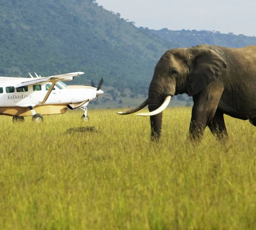 Custom Kenya safaris and holidays packages