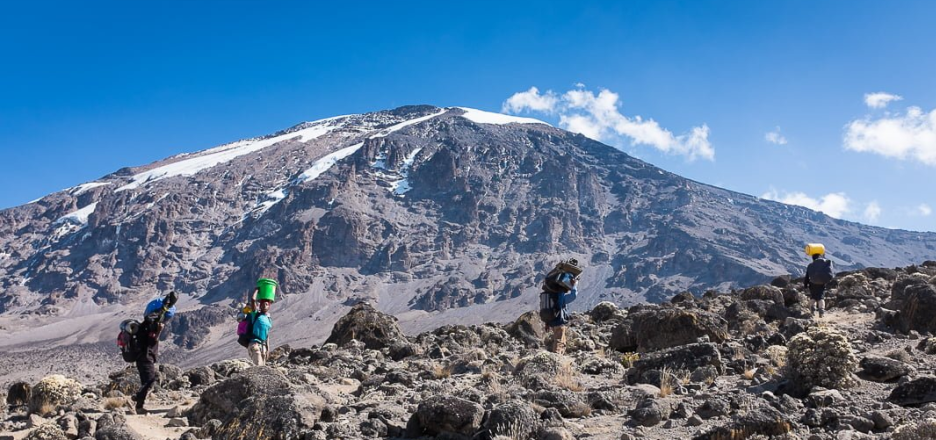 Kilimanjaro climbing safari