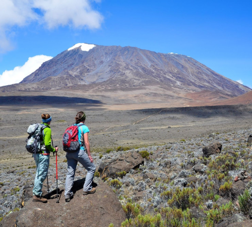 Mt Kilimanjaro Climbing safari