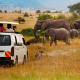 Kenya safari tours and holidays