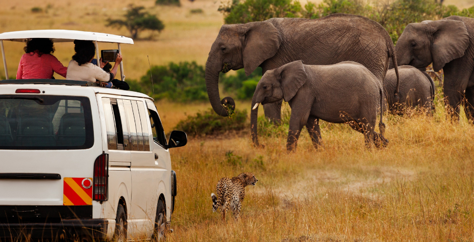 Kenya safari tours and holidays